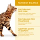 Повнораціонний сухий корм Optimeal для дорослих котів - курка 1.5 кг (4820215369671)A - изображение 3