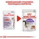 Упаковка вологого корму для дорослих стерилізованих кішок Royal Canin Sterilised in Gravy 12 шт х 0.085 кг (9003579311301) (40950010)A - изображение 8
