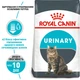 Сухий корм для кішок Royal Canin Urinary Care 400 г (3182550842907) (1800004)A - зображення 2