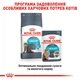 Сухий корм для кішок Royal Canin Urinary Care 400 г (3182550842907) (1800004)A - зображення 6