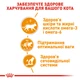 Упаковка вологого корму для дорослих кішок Royal Canin Intense Beauty in Gravy 85 г х 12 шт (9003579308929) (40710010)A - зображення 5