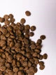 Сухий корм для собак малих порід Savory Small Breed rich in Fresh Turkey and Lamb зі свіжим м’ясом індички та ягнятиною 1 кг (4820232630341)A - изображение 6