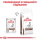 Вологий корм для дорослих собак Royal Canin Veterinary Gastro Intestinal Dog Cans (паштет) 400 г (9003579309445) (40380041)A - изображение 6