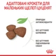 Сухий корм для цуценят Royal Canin Puppy Mini дрібних порід вагою до 10 кг від 2 до 10 місяців 800 г (3182550792929) (30000082)A - зображення 6
