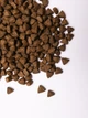 Сухий корм Savory All Breed Sterilised rich in Fresh Turkey зі свіжим м'ясом індички для стерилізованих собак 1 кг (4820232631492)A - изображение 5