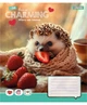 Набір зошитів 24арк. лінія 1Вересня Charming, уп.20шт. (768188) - зображення 6