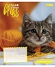 Набор тетрадей 12л. линия 1Вересня Bliss, уп.25шт. 768052 - изображение 2