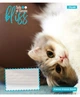 Набор тетрадей 12л. линия 1Вересня Bliss, уп.25шт. 768052 - изображение 3
