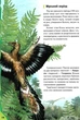 Дитяча енциклопедія. Динозаври. Пегас - зображення 3