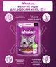 Промо набор влажного корма Whiskas с лососем в соусе 28 шт по 85 г + Tasty Mix ягненок с индейкой 9 шт по 85 г (C5900951302801) - изображение 4