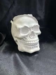 Череп кашпо-трій'янда декор FullWhite ABC handmade - зображення 4
