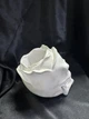 Череп кашпо-трій'янда декор FullWhite ABC handmade - зображення 6