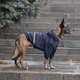 Куртка-дождевик для собак Noble Pet Moss Blue 5XL (M4106/5XL) - изображение 9
