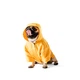 Куртка-дощовик для собак Noble Pet Moss Yellow M-Short (M4108/M-Short) - изображение 6
