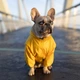 Куртка-дощовик для собак Noble Pet Moss Yellow M-Short (M4108/M-Short) - изображение 11