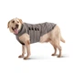 Пуховик Noble Pet Bobby Navy 6XL (B4118/6XL) - зображення 2