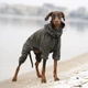 Комбінезон для собак Noble Pet Travis L - зображення 7