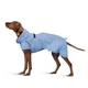 Дощовик для собак Noble Pet Rio Light Blue 2XL (R4137/2XL) - изображение 1