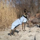 Дощовик для собак Noble Pet Rio Light Blue 2XL (R4137/2XL) - изображение 4