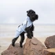 Дощовик для собак Noble Pet Rio Light Blue 2XL (R4137/2XL) - изображение 6