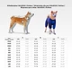 Вітровка для собак WAUDOG Clothes, малюнок "Апельсини", S30, В 57-59 см, С 44-46 см - зображення 2