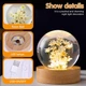 Настольный ночник с натуральным цветком белой ромашкой Crystal Ball "Yellow daisy" в прозрачном шаре - изображение 2