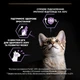 Сухой корм Purina Pro Plan Kitten - изображение 5