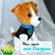 Мягкая игрушка Копиця Пес Патрон 28 см (00114-702) - изображение 7