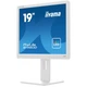 Монитор iiyama B1980D-W5 универсальный TN 1280x1024 SXGA 19" / 4W - изображение 8