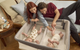 Дитяче ліжечко для близнят Chicco Next2Me Twins Magnet Gray (8058664173280) - зображення 16