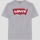 Футболка бавовняна чоловіча Levi's Graphic Setin Neck 17783-0138 S Graphic H21 (5415211983243) - зображення 5