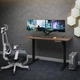Стол с электрорегулировкой высоты Mealux PowerDesk Energy Walnut (EVO-201 Energy Walnut/B) - изображение 3