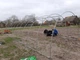 Каркас теплиці "Західна-10+" 4х10х2,3м, труба 20х20х2мм - зображення 9