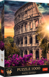 Puzzle Trefl Premium Plus Foto Odyseja: Koloseum 1000 elementów 10857 (5900511108576) - obraz 1