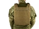 Плитоноска Plate Carrier Закритого типу GEN 2.0 панель Molle uaBronik Койот - зображення 6