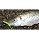 Силікон Owner Micro Worm MW-04 1.3" (8шт) 01 All-purpose Glow - зображення 4