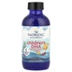 ДГК (Омега-3) для дітей віком 1–6 років Nordic Naturals Children's DHA полуниця 530 мг 119 мл - зображення 1