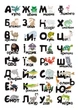 Дитяча навчальна гра з багаторазовими наклейками "ZOO Алфавіт" (КП-005) KP-005 укр. мовою - зображення 2