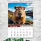Календар настінний перекидний ПОДОРОЖ КАПІБАРИ 13 АРКУШІВ ENTERSTORE 42х29.7 см (ART 250112) - зображення 11