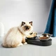 Миска Petkit Fresh Nano-Metal Pet/Cat Two Bowl Stand (P5201) ( ABS (без BPA), нержавіюча сталь ) - зображення 8