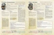 Настольная игра Geekach Root RPG - Пелленицкое Перелесье. Быстрый старт Корни НРИ - изображение 4
