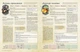Настольная игра Geekach Root RPG - Опилковая Балка. Быстрый старт Корни НРИ - изображение 4