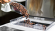 Ekspres do kawy Cecotec Power Matic-ccino 8000 (1508) - obraz 4