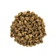Корм сухий Brit Care Cat Grain Free Large Power Vitality для дорослих котів великих порід з качкою та куркою 2 кг - зображення 3