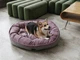 Овальный лежак для средних и больших собак Harley and Cho Donut Soft Touch Pink M (3104017) - изображение 6