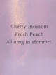 Парфюмированный спрей для тела Victoria's Secret (197575023227) Love Spell Shimmer 250 мл - изображение 3