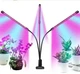 Светодиодная фитолампа Grow Light для выращивания растений, рассады Полный спектр 3 головы RTS - изображение 1
