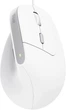 Trust Мышь Trust Bayo 2 Ergonomic, USB-A, біла - изображение 1