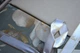 Постельное белье First Choice Ranforce 160х220 см Annabel Moonmist - изображение 4