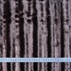 Ткань мех полоска темно-фрезовый (345г/м.кв140см пог.м) 91760 - изображение 3